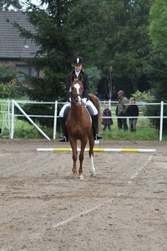 Bild 37 - WBO-Turnier am 18.9.11